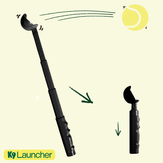 K9 Launcher